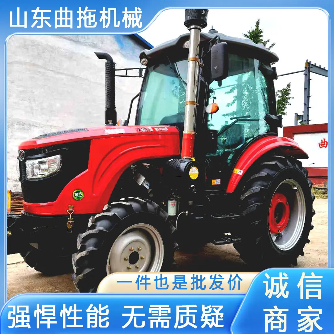 洛阳万年红804 1