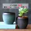 Vaso de Flores Cerâmica Grande Casa com Bandeja Distintivo Simples Planta Verde em Forma de Ovo Verde Dendrocalo Pequeno Vaso de Flores Carnudo