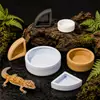 Tigela de Comida e Tigela de Água para Répteis para Prevenir Fuga, Hamster de Geckos Criação Larvas de Tenébrio Plástico Fabricante para Prevenir Fuga, Tigela de Comida para Répteis