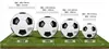 Fútbol No.. 5 Balón de Fútbol para Competición y Entrenamiento de Estudiantes y Adultos Resistente a la Abrasión Antiexplosión Costura a Máquina PVC