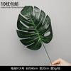 Decoración de Flores Artificiales Verdes Material de Flores de Hoja de Manzana Flor Exterior Planta Verde Hermoso Arreglo Chen Simulación de Hoja de Tortuga Arte Floral para Boda