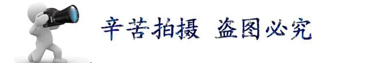 产品拍摄细节.jpg