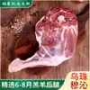 Pierna de Cordero Premium de Uzhumqin, Mongolia Interior, Ingredientes de Cordero Puro Criado en Libertad y Pastos para Venta al por Mayor Comercial