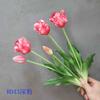 Simulação toque macio buquê de tulipa PE látex silicone 5 cabeças tulipa de onda grande flor artificial decoração para fotografia