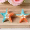 Resina Estrella de Mar Colorida Perla Funda para Teléfono Móvil Colgante Accesorios para el Cabello Accesorios para Pendientes Accesorios de Joyería DIY Materiales al por Mayor