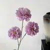 Hibisco para Casamento Flores Artificiais Flores de Seda Decoração de Casamento Materiais Florais Flores Artificiais Arranjo de Flores Flores de Peônia Rosa Flores de Hibisco