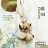 Pingente de Bolsa de Chocalho de Casca de Fruta Natural, Sino dos Ventos Artesanal, Sino Pendurado para Cura Sonora, Ornamento de Fruta de Planta, Decoração de Mochila Sol Quente