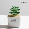 Zibo Vidrio Adornos Pequeños Suculentas Cactus Brotes de Frijol Boshan Artesanía de Vidrio en Maceta Oficina Escritorio Regalos