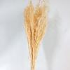 Arroz absinto flor seca inserir flor aromaterapia faça você mesmo material de correspondência decoração para casa decoração de casamento flor real flor eterna arroz absinto atacado