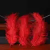 Decoración de plumas material hecho a mano DIY globo de bola ondulada color rojo rosa blanco pluma pequeña accesorios para fotos