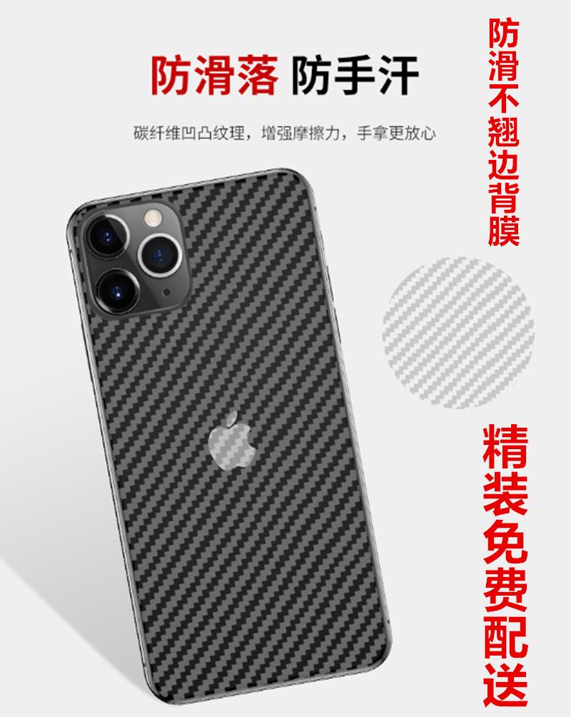 背膜