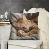 Funda de Almohada de Gato Más Vendida en Temu, Funda de Almohada de Animales Linda y Divertida, Funda de Cojín Decorativa para Dormitorio, Hogar, Sofá, Venta al por Mayor