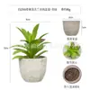 Planta en Maceta Artificial Mini Transfronteriza Hecha a Medida Adornos de Escritorio Bonsái Suculento de Simulación Flor Artificial Planta Verde Pulpa Suculenta Planta en Maceta