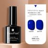Manicura Cat Eye Glue 2024 Nuevo Set de Pegamento para Esmalte de Uñas Tienda Especial de Nail Art Pegamento de Fototerapia Color Popular de Celebridad de Internet Set Pequeño