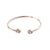 Pulsera de Mariposa Helada Transfronteriza Nueva Estilo Ins para Mujer Pulsera Abierta de Mariposa Simple Europea y Americana Elegante Pulsera de Pareja