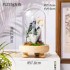 Columna de Cristal Natural Transfronteriza Flor Eterna Adorno de Tapa de Vidrio Prisma Hexagonal de Cristal Hecho a Mano DIY Flor Seca Regalo Creativo