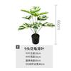 Amazon grande 18 hoja de tortuga artificial suministro transfronterizo paisaje decoración del hogar planta artificial hoja de tortuga artificial