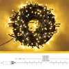 Linternas Pequeñas de Gypsophila Más Vendidas de Amazon Transfronterizas de Bajo Voltaje Impermeables para Exteriores Cadena de Luces para Árbol de Navidad Cable Negro Verde Oscuro