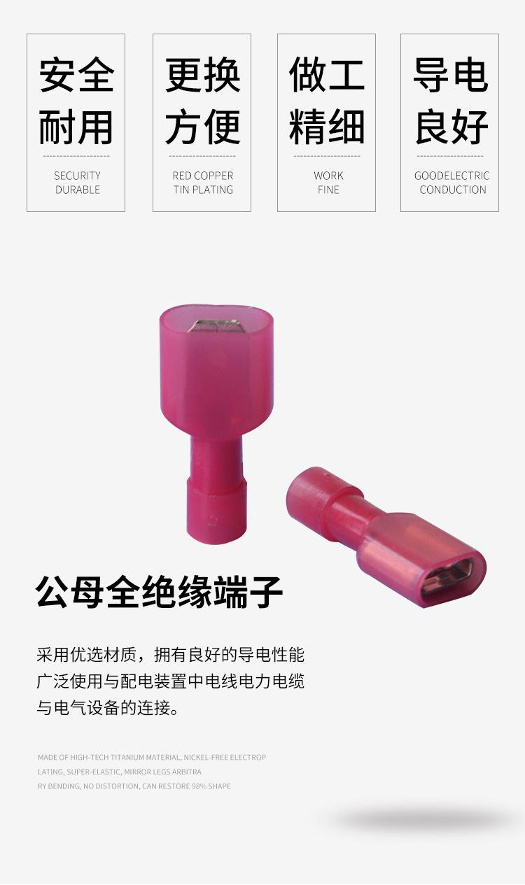 四邦-公母全绝缘端子_02.jpg