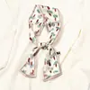 Bufanda delgada y estrecha estilo coreano para primavera y otoño, bufanda pequeña fresca para mujer, bufanda larga decorativa versátil, corbata de verano para bolsa, cinta de moda