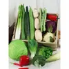 Modelo de vegetal de simulação PU pimenta alface repolho chinês berinjela cebola cogumelo brócolis modelo de adereços decoração de sala