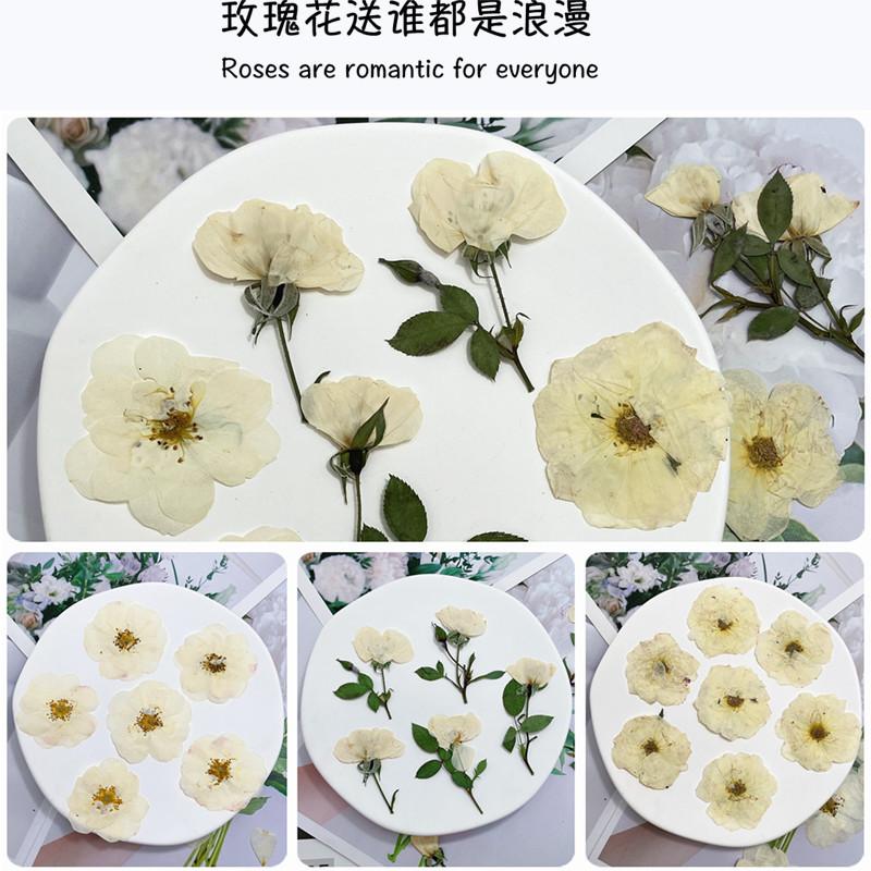 微信图片_20220630000205_副本