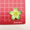Gelo através de simulação cor degradê flor de cinco pétalas bauhinia acessórios de resina diy capa de celular grampo de cabelo joias adesivos de geladeira