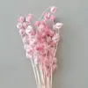 Linterna de Flor Eterna Fruta en stock para venta al por mayor, fruta de gelatina, flor de campanilla de viento, decoración de hotel y casa de huéspedes, arreglos florales, materiales florales para bodas