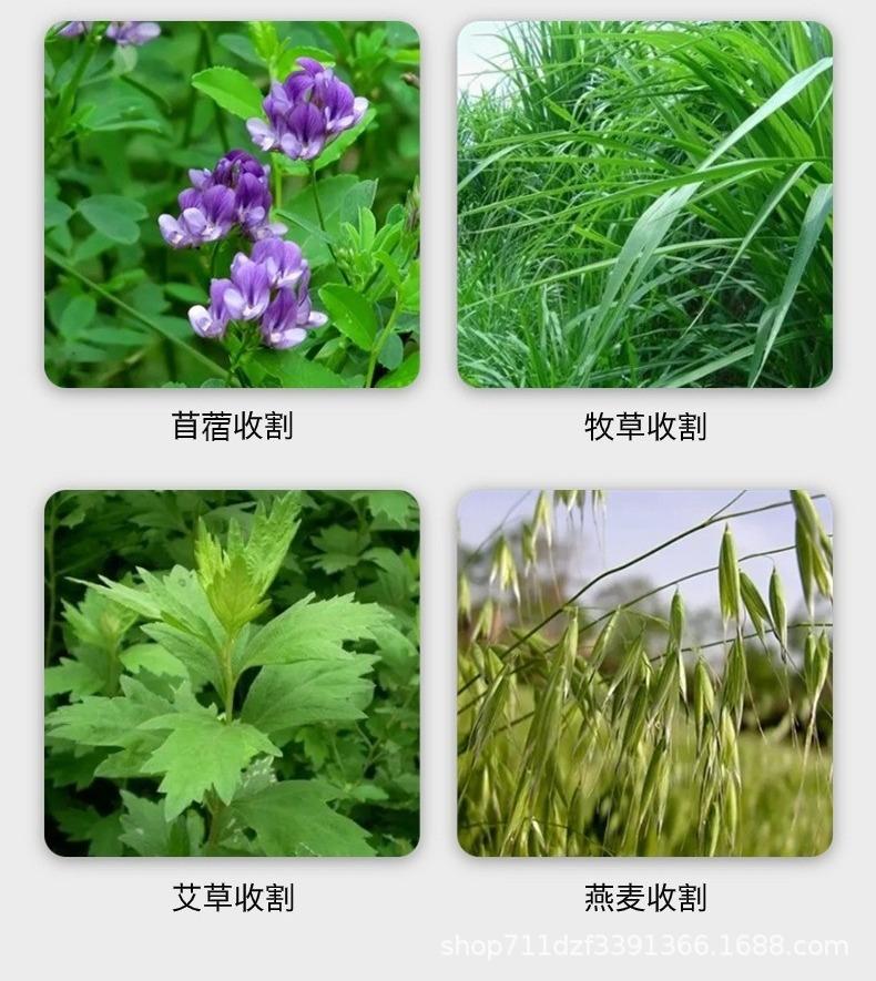切图_双圆盘割草机详情页-6.jpg