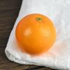Ventas Directas de Fábrica Venta al por Mayor Simulación Naranja Naranja Cítrico Fruta y Verdura Falsa Decoración de Espuma Accesorios para Posar en Ventana