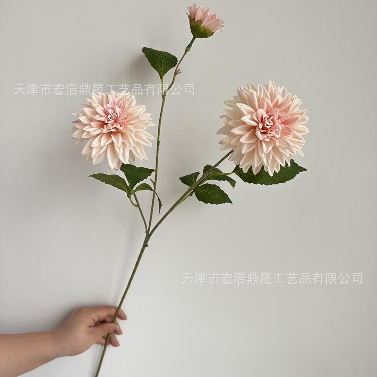 微信图片_202304201402139_副本