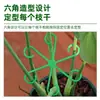 Poste de soporte para planta Monstera, marco de soporte para flores, soporte retráctil para ramas, soporte anti-caída para plantas, herramienta de fijación para plantas verdes, soporte para flores