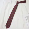 Decoração de Camisa Feminina Listra Estudantes Aprendem [Entrega Rápida] jk Gravata Estilo Jardim Retrô Mão Dk Acessórios Masculinos Tendência