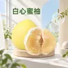 Fujian Zhangzhou Pomelo Mel Coração Branco Dropshipping 2/5/9 Jin Pomelo de Polpa Branca Fruta Média-Grande Caixa de Presente Fruta Fresca