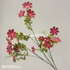 Vermelho vinho popular material de flor de simulação Eucalipto Hortênsia palma vermelha rosa vermelha com salão de casamento estrada atacado