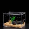 Caja de acrílico transparente para mascotas, caja de alimentación para escalada, caja de alimentación para reptiles ...