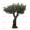 Árvore de Oliva Simulada para Interior de Hotel Mesa de Jantar Vasos Bonsai Decoração Árvore de Oliva Biônica Artificial Árvore Falsa Paisagismo