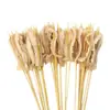 Brochetas populares para snacks en línea, brochetas comerciales, brochetas fritas, productos semielaborados, brochetas picantes revolucionarias, brochetas para olla caliente, brochetas de res picantes