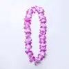 Set de Falda de Hierba para Fiesta de Carnaval Hawaiano Amazon Accesorios para Actuación Padre-Hijo de Jardín de Infancia Festival de Danza Hula Colorido