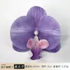 Tocado de Cabeza Artificial de Flor de Orquídea Phalaenopsis, Pinza para el Cabello Famosa en Internet, Adorno para la Cabeza, Recuerdo, Adecuado para Decoración de Bodas, Adorno de Muebles, Flor Artificial