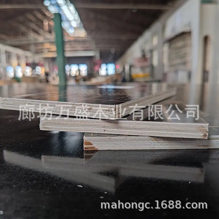 mmexport1606719883994.jpg
