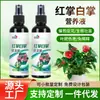 Antúrio Antúrio Branco Solução Nutritiva Especial Tipo Concentrado Foliar Solúvel em Água Nutriente para Plantas Floração Flor Promoção Fabricante
