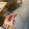 Óculos de sol de armação pequena de metal europeus e americanos da moda Óculos de sol de armação retrô Óculos de sol de comércio exterior da moda Óculos de sol de celebridades da Internet para mulheres