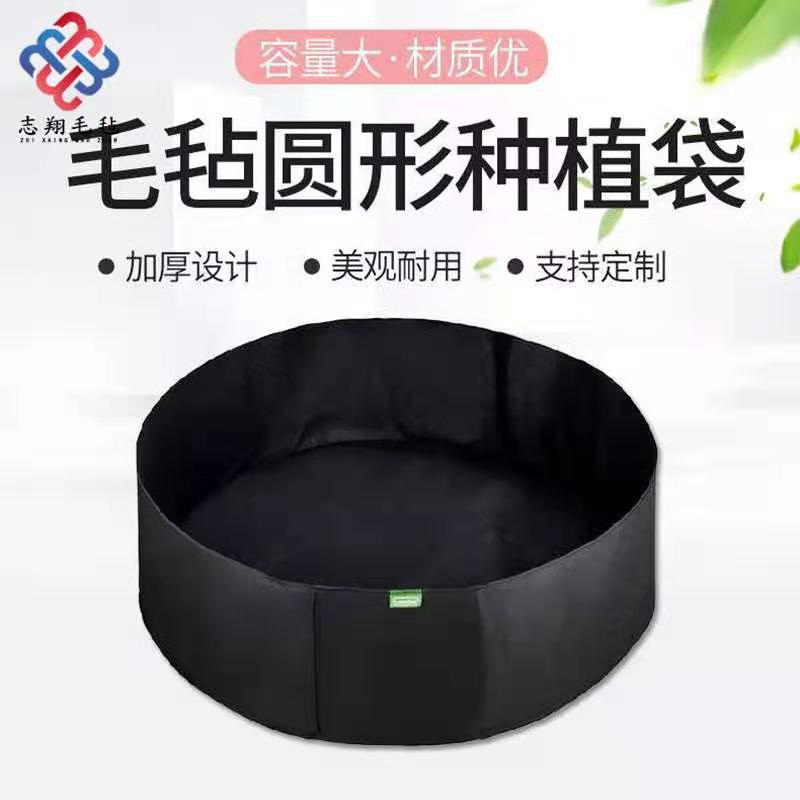 cfd83845bbb07a4a41629ab5911f33