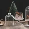 Recipiente de Exibição Multifuncional de Vidro Transparente Abajur para Aromaterapia Tampa para Alimentos Enfeites Decorativos para Casa Tampa Difusora de Pedra para Aromaterapia