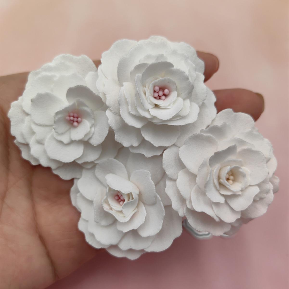 2024-06-25 11:09:39.jpg