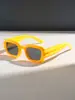 Gafas de Sol de Estilo Nuevo Casual de Moda Hip-Hop de Nicho para Espectáculos en Escenarios al Aire Libre, Gafas de Sol Versátiles Unisex