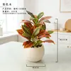 Planta Verde Artificial em Vaso para Escritório, Decorações de Mesa Interna para Sala de Estar de Alto Padrão, Plantas e Flores Artificiais, Adereços para Fotografia