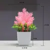 Flores Artificiais de Simulação Decorações Criativas para Mesa de Casa Flores de Plástico Grama Artificial Plantas Verdes Decorações de Interior Mini Decorações Bonsai