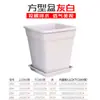 Vaso Quadrado Espesso de Alta Ventilação com Controle de Raízes, Vaso Galão de Plástico Nórdico para Flores, Clematis e Rosas, Vaso Quadrado de Diâmetro Grande